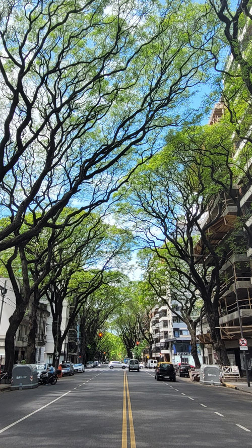 Avenida en el barrio de Caballito (CABA).